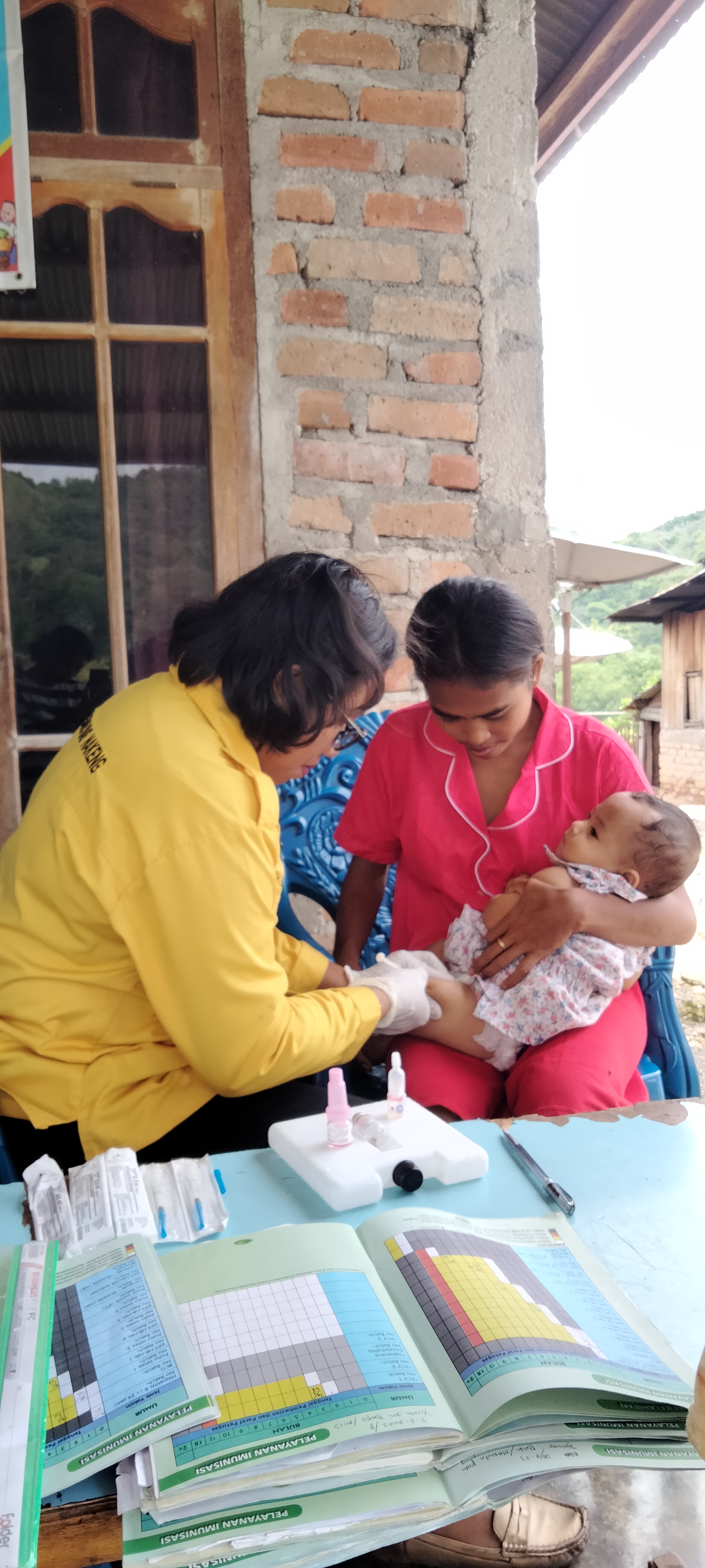 Pelayanan Posyandu Bayi dan Balita